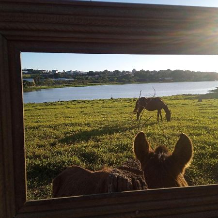 Hostel Santuario De Protecao Animal Filhos De Salomao Bragança Paulista Esterno foto
