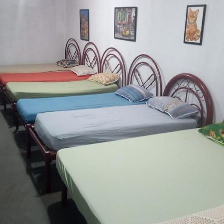 Hostel Santuario De Protecao Animal Filhos De Salomao Bragança Paulista Esterno foto