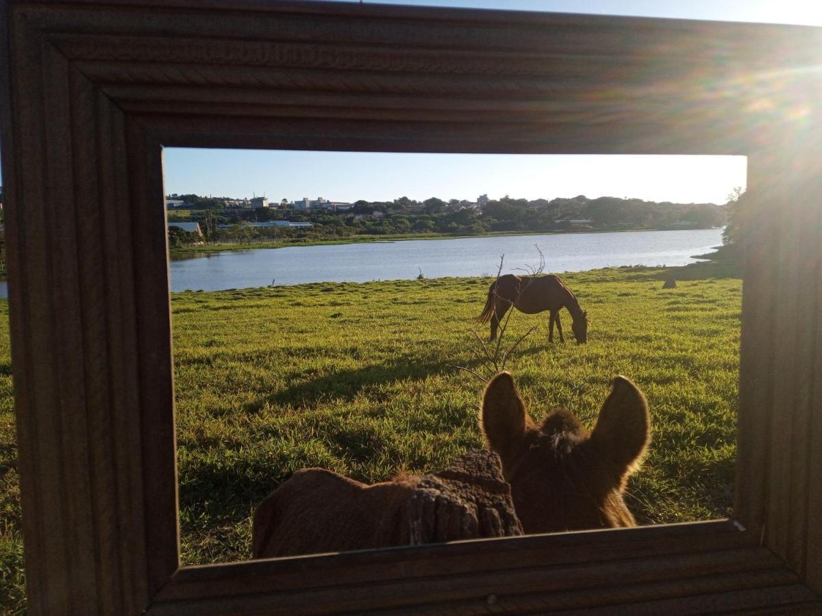 Hostel Santuario De Protecao Animal Filhos De Salomao Bragança Paulista Esterno foto
