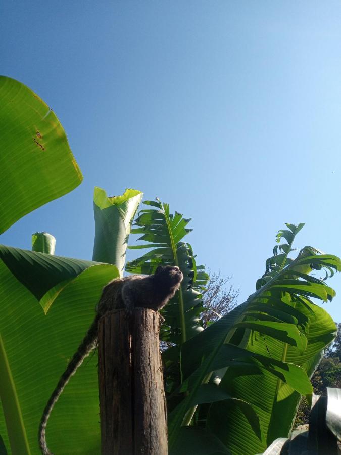 Hostel Santuario De Protecao Animal Filhos De Salomao Bragança Paulista Esterno foto